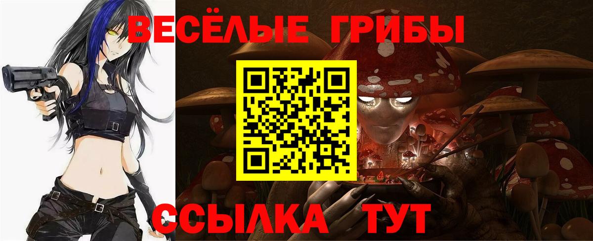 Выборг  наркошоп  Вход с VPN  Галлюциногенные грибы Psilocybine cubensis  Псилоцибиновые грибы Magic Shrooms 